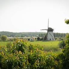 20230529-_DSF8434.jpg