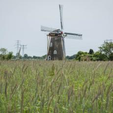 OEL23-57.jpg